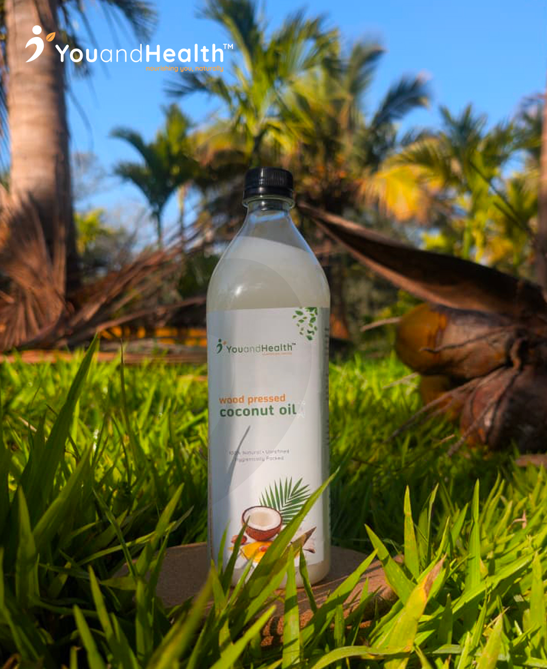 Wood-Pressed Coconut Oil - Image 2